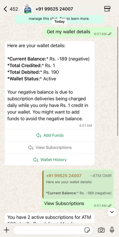 BNM AI Chat — wallet query on WhatsApp